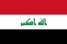 IQ flag