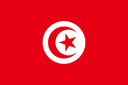 TN flag