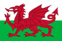 WLS flag