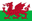 WLS flag