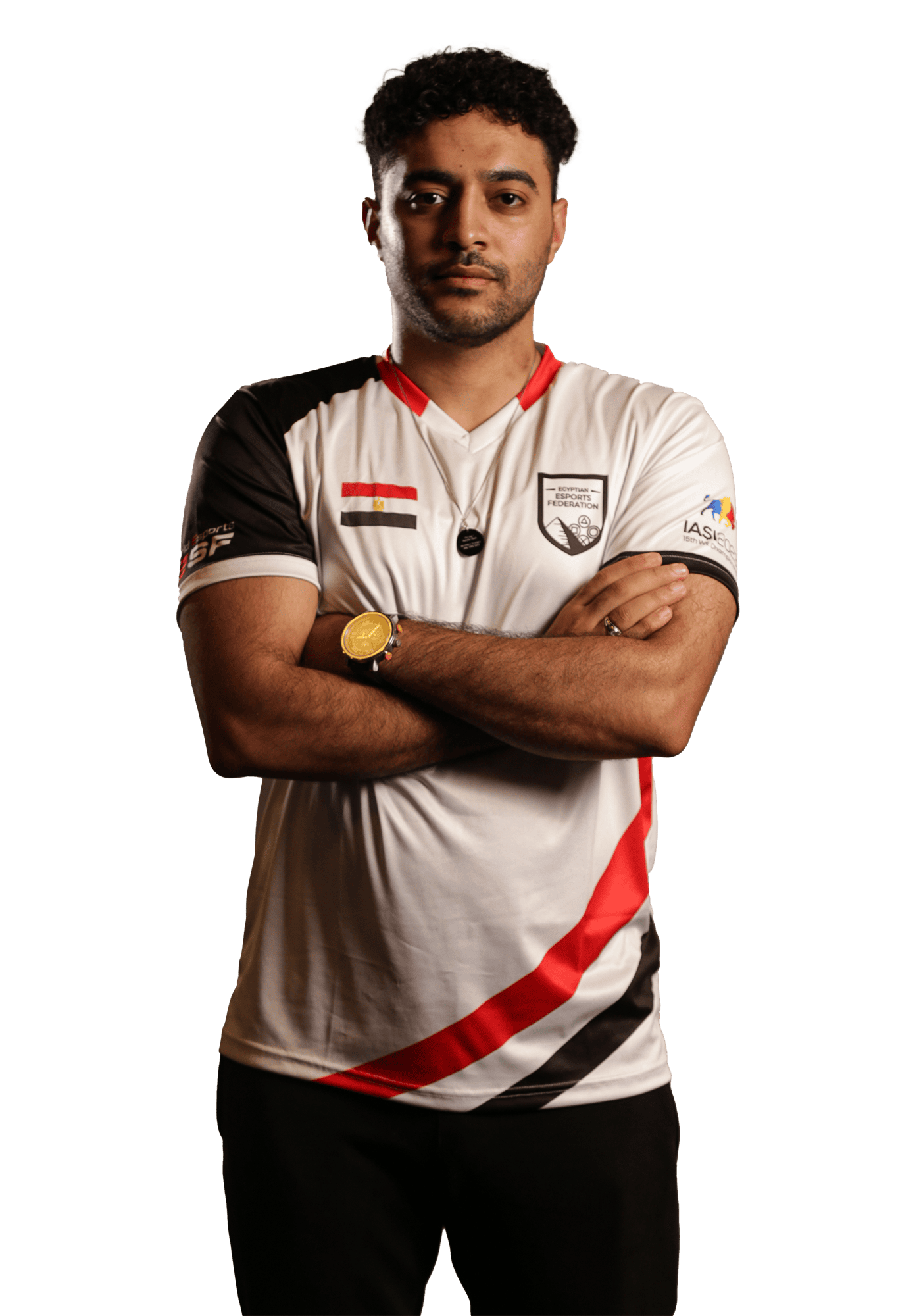 Mostafa Mohamed Abdelhamid  Abdelwahid Elfeky